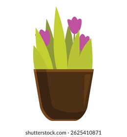 Illustration of pink tulips growing in a brown pot, isolated on a white background