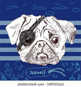 Illustration of pirate pug dog on blue background in vector