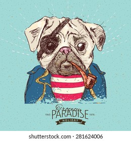 Illustration of pirate pug dog on blue background in vector