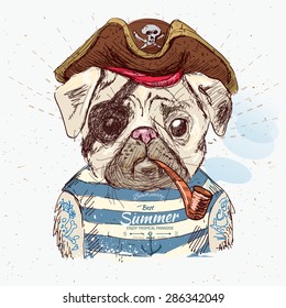 Illustration of pirate pug dog on blue background in vector