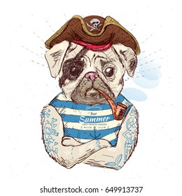 Illustration of pirate pug dog on blue background in vector eps10