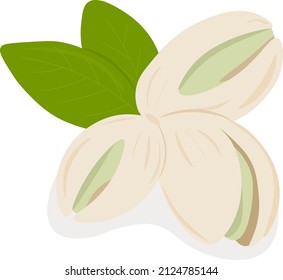 illustration of pistachios with leaves