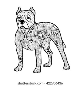 Illustration "Pitbull Dog" was created in doodling style in black and white colors.  Painted image is isolated on white background.  It  can be used for coloring books for adult.
