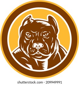 Illustration of a pitbull dog head facing front set inside circle on isolated background done in retro woodcut style.