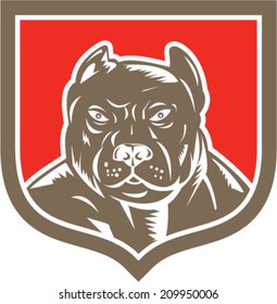 Illustration of a pitbull dog head facing front set inside shield crest on isolated background done in retro woodcut style.