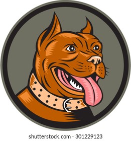 Illustration of a pitbull dog head with tongue out set inside circle on isolated background done in retro woodcut style.