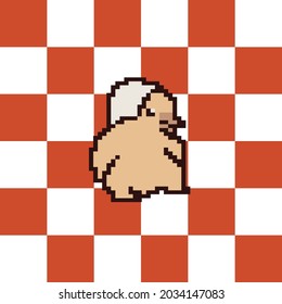 Illustration PixelArt 8bit  Craft  Chick for game