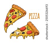 illustration of a pizza isolated on white background. pizza slice with salami,mushrooms, basil leaf and melted cheese for pizzeria package and menu designs. Flat Vector illustration.