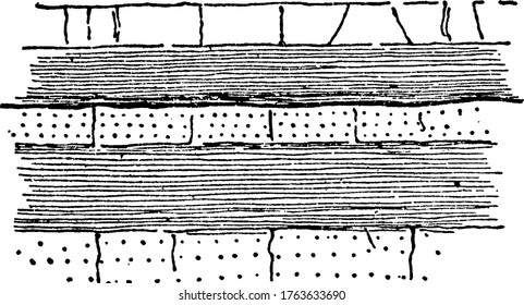 An illustration of the plan of a strike fault. The fault surface is usually near vertical and the footwall moves either left or right or laterally with very little vertical motion, vintage line.