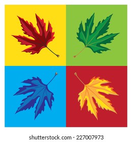 Illustration of plane tree leaves