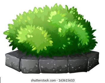 Illustration of a plant above a stone on a white background