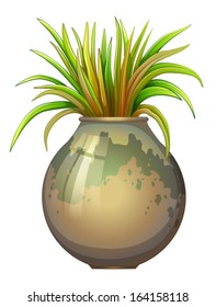 Illustration of a plant in a big pot on a white background