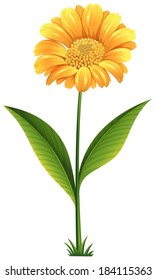 Illustration of a plant with a blooming flower on a white background