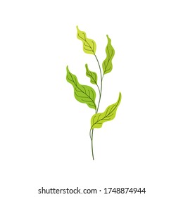 Illustration of plant branch. Flat vector colorful illustration.