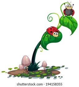 Illustration of a plant with bugs on a white background