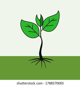 illustration of a plant in a flat style. tree design. design vector.