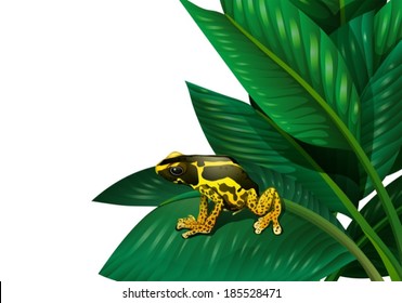 Illustration of a plant with a frog on a white background