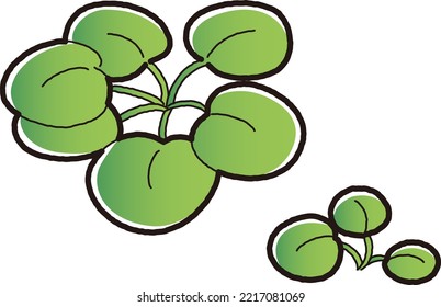 Illustration of a plant frog pit (aquatic plants)