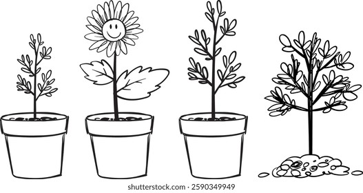 Illustration of plant growth from seedling to tree