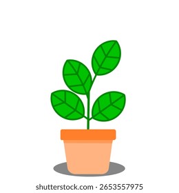 Illustration of a plant with light green leaves in a pot.