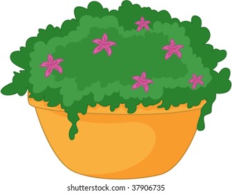 illustration of plant on white