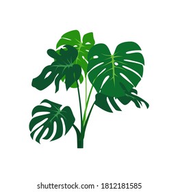 Illustration of plant, perfect for your design