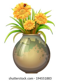 Illustration of a plant in a pot with blooming flowers on a white background