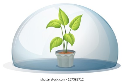 Illustration of a plant in a pot inside a transparent dome on a white background