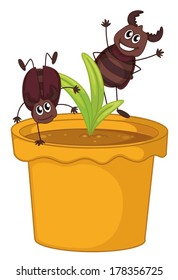 Illustration einer Pflanze in einem Topf mit zwei lächelnden Küchenschaben auf weißem Hintergrund