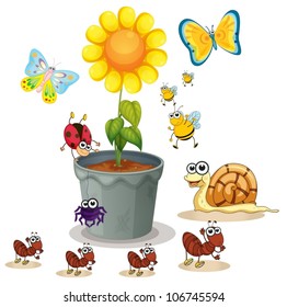 illustration of plant pot and various insects on white