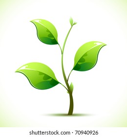 illustration of plant sapling growing on abstract background