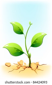 illustration of plant sapling growing on rock soil in drought area
