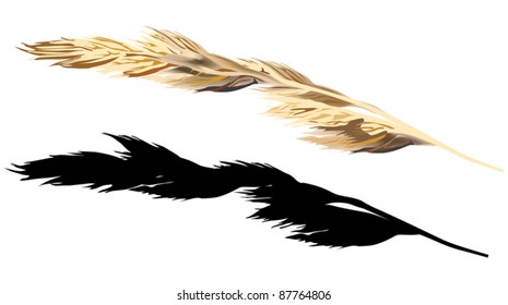illustration with plant and silhouette isolated on white background