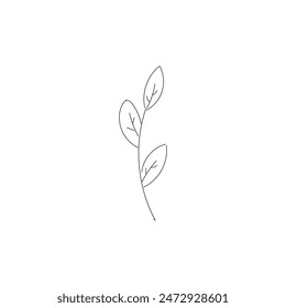 Illustration plant sketch minimalist with blank background