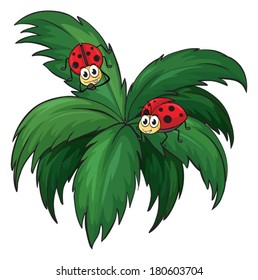 Illustration of a plant with two ladybugs on a white background