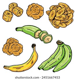 illustration of plantains, plantain chips, patacones or tostones