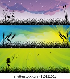 Illustration mit Pflanzen bei unterschiedlichen Wittern