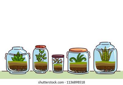 Illustration of Plants Growing Inside Glass Containers. Terrariums