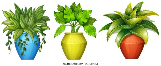 Illustration of the plants in the pot on a white background