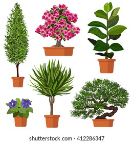 Illustration of plants in pot. Vector set.