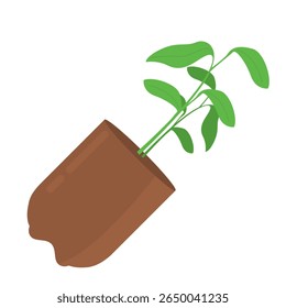 Ilustração de plantas em vasos