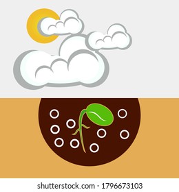 
illustration of plants, sun and clouds. greenery. illustration of planting plants. green leaf vector.
