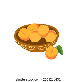 Illustration of a plate of apricot on a white background