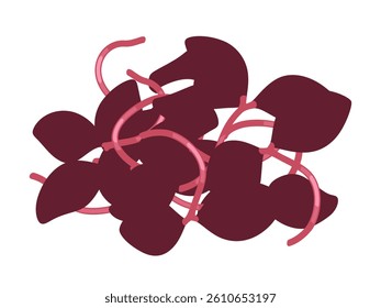 Illustration of a plate of red beni-tade