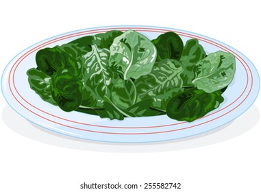 Illustration of plate of spinach