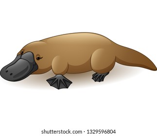 Illustration of platypus isolated on white background