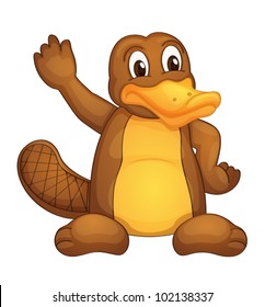 platypus cartoon images