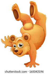 Illustration of a playful brown bear on a white background