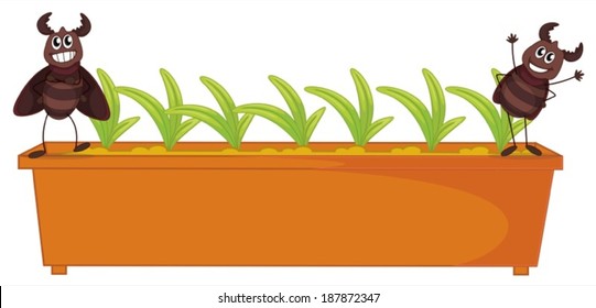 Illustration of the playful cockroaches near the plants on a white background