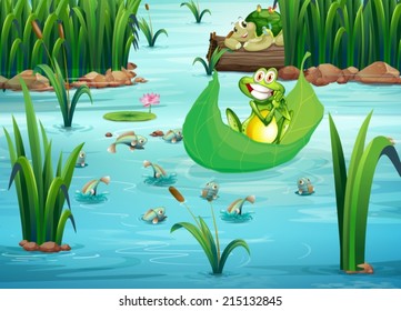 Illustration of a playful frog and a turtle at the pond